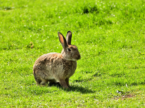 20200904_140456_nf.JPG