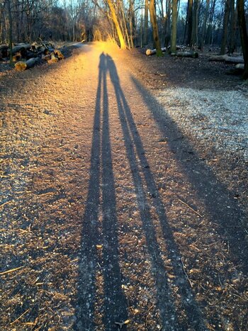Lange Schatten .jpg