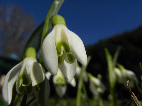 2010-02-25_12-41-24.jpeg