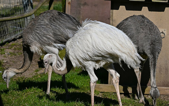DSC_1008.jpg