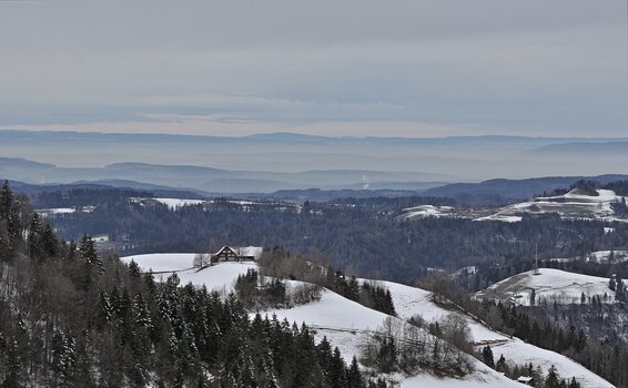 _DSC5718.1000.01.jpg