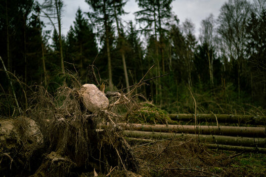 Hoch die Steine nach dem Sturm.jpg