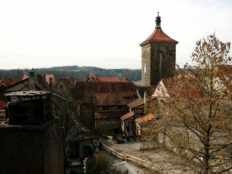 2022-03-08_09-26-22.jpg
