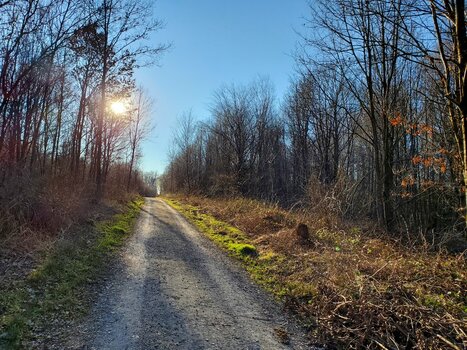 20220310_164912.jpg
