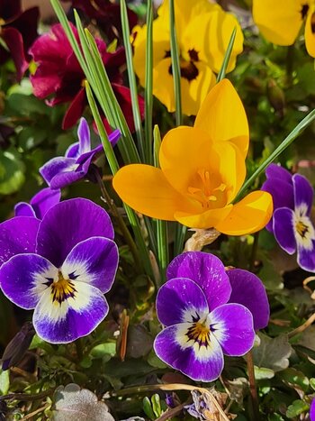 k_20220312_151215.jpg