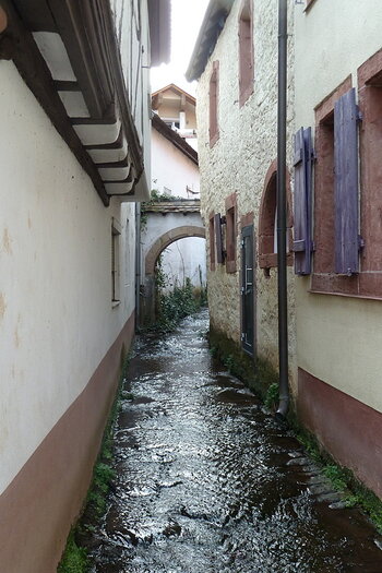 P1070449.JPG