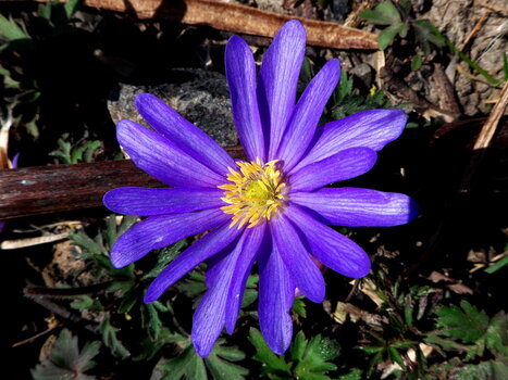 TSF 2022 -027.jpg