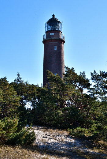 20220313_105530_nf.JPG