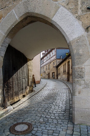 750_5348.JPG