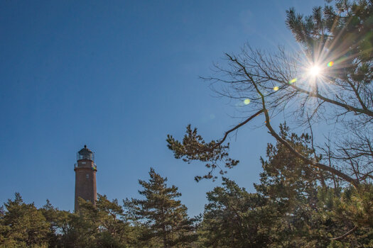 20220313_105519_nf.jpg