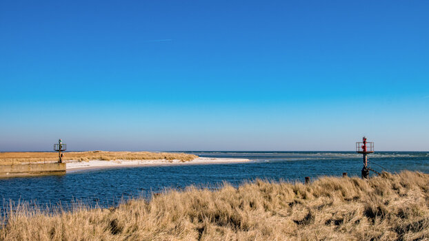 20220313_100044_nf.jpg