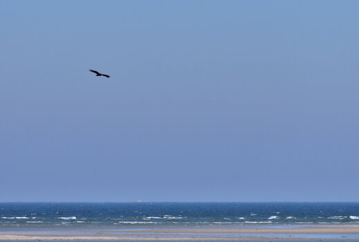 20220313_115209_nf.JPG