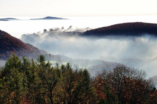 Nebel_Rossberg DSC_1099.jpg