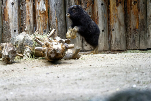 DSC_4635_DxO.jpg