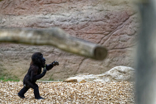 DSC_4778_DxO.jpg
