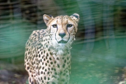 DSC_4572_DxO.jpg