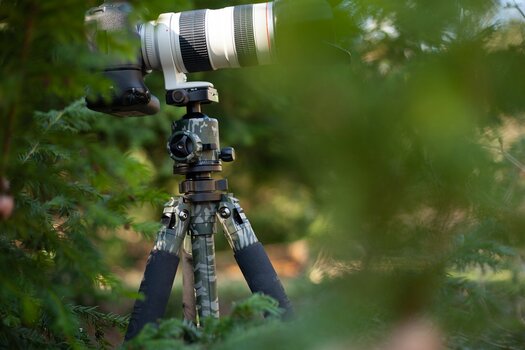 Anwendungsbeispiel Rollei Lion Rock 25 Mark II Camouflage-Design im Wald Anwendungsbeispiel Rollei Lion Rock 25 Mark II Camouflage-Design im Wald