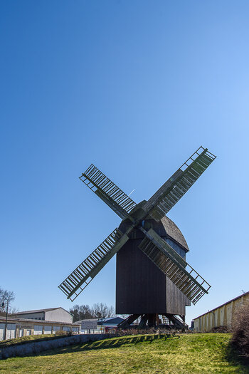 750_5860.JPG
