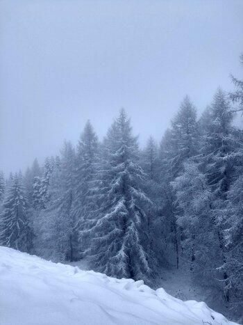 IMG_20220108_151354774_HDR.jpg