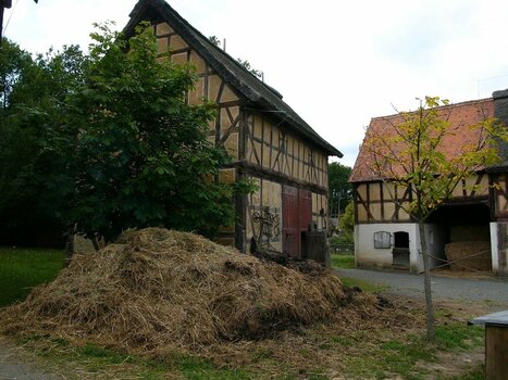 2022-03-21_09-25-23.jpg