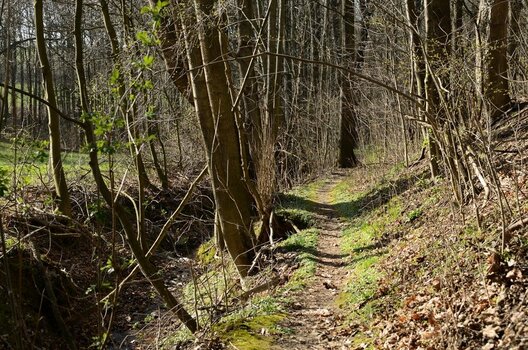 DSC_6592_00001n.jpg