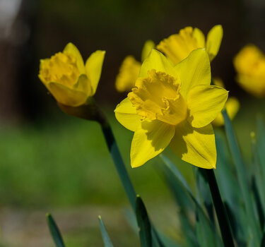 750_6039.JPG