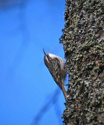 DSC_2150.JPG