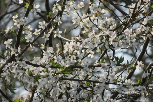 IMG_0394.jpeg