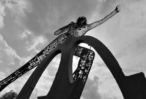 DSC_9809 - Kopie - Kopie_DxO.jpg