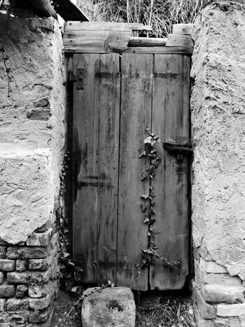 DSCN1733-01n.jpeg