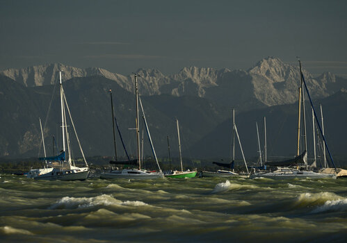 DSC_0782_1.jpg