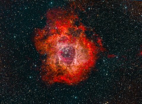 KleinRosette2-1.jpg