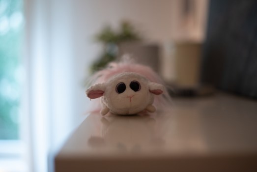 50mm 2,0 uncropped .png