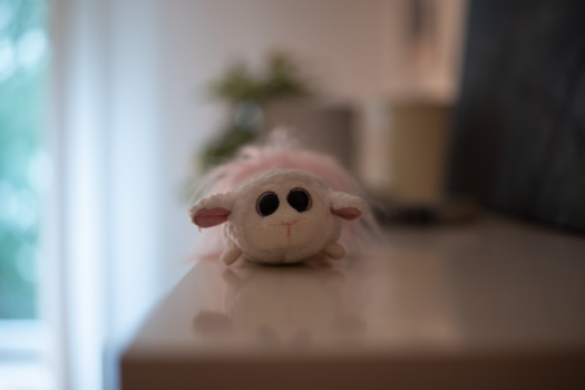 50 mm 1,8 uncropped .png