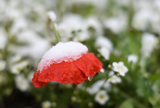 DSC_0170.JPG