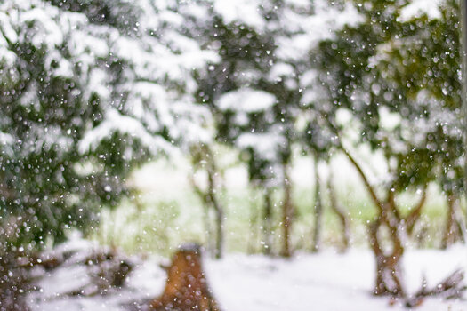 schnee-5430.jpg