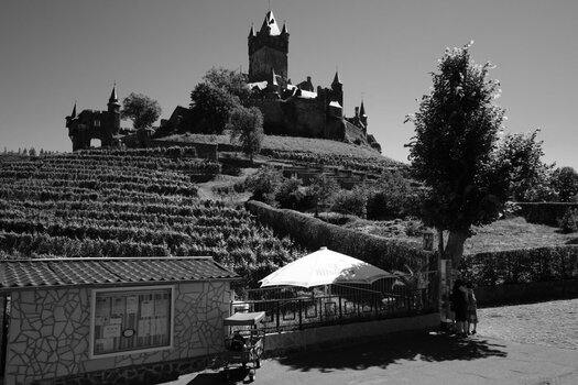 DSCF7168.jpg