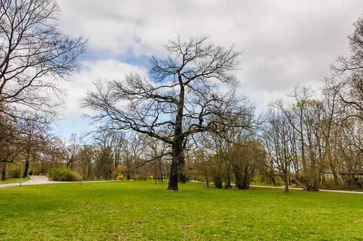 DSC_2301.JPG