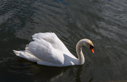 DSC_2351.JPG