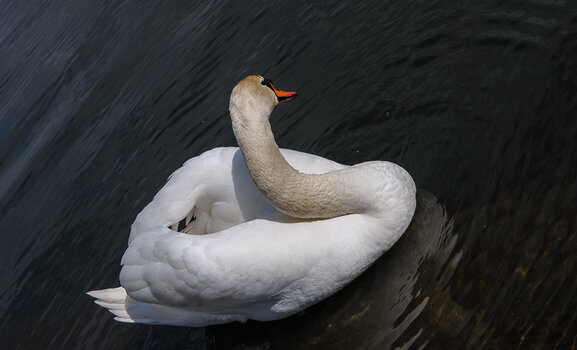 DSC_2355.JPG