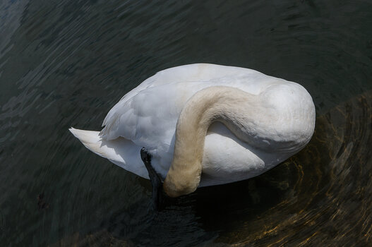 DSC_2358.JPG
