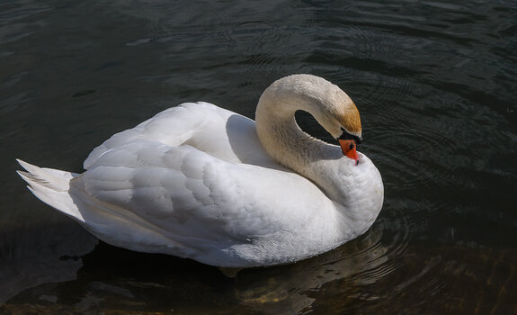 DSC_2354.JPG