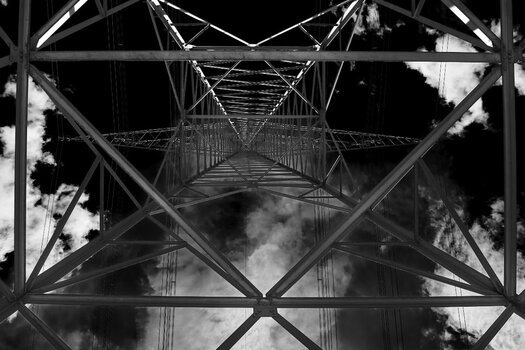 D80_9440.jpeg