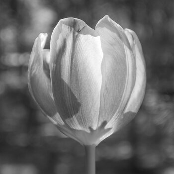 DSC_5179.jpg