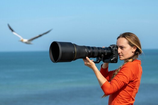 Anwendungsbeispiel NIKKOR Z 800 mm 1:6,3 VR S