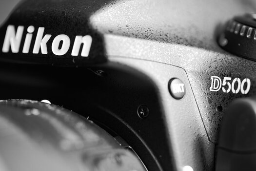 C650D532-0986-480D-A620-B1A2520DDF1E.jpeg
