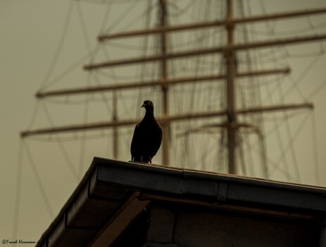Hamburg Eindrücke 4.jpg