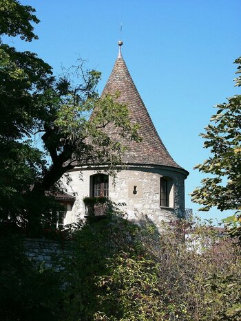 2022-04-09_09-48-19.jpg