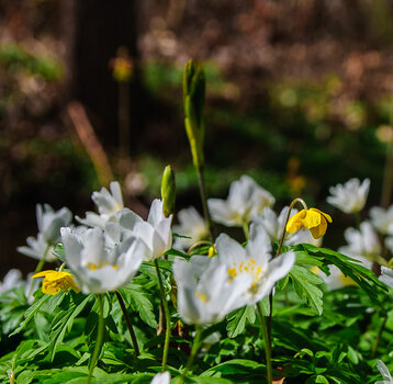 DSC_2409.JPG