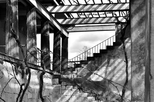 20220409_150529bw_nf.JPG